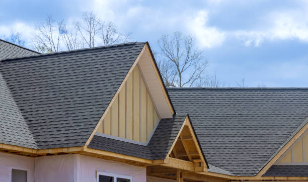 Best Sheet Metal Roofing  in Woodbury, MN